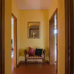 Luxury In